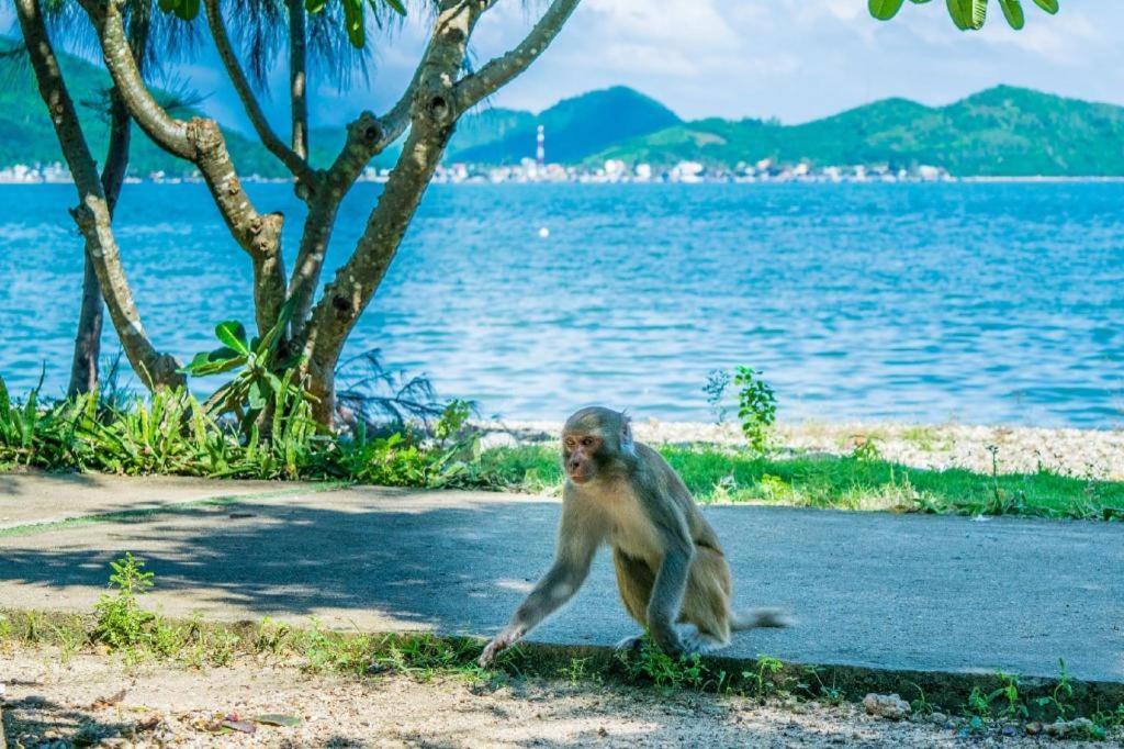 ラメール ホテル ニャチャン エクステリア 写真